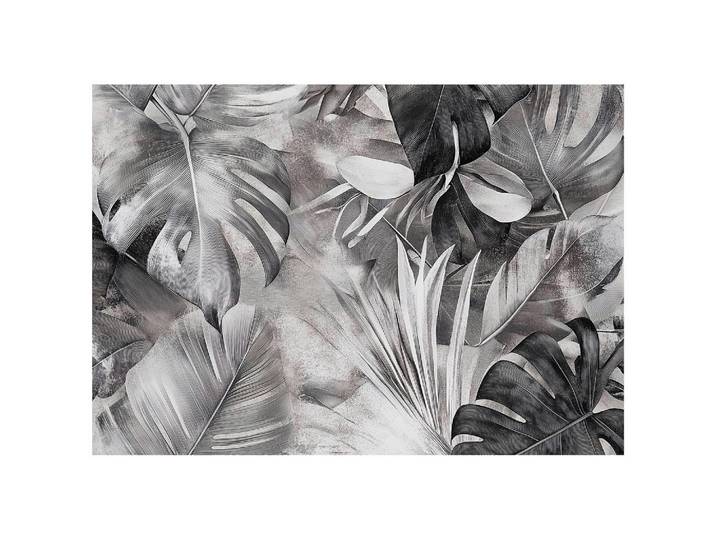FOTOTAPETE Monstera Blätter Schwarz Weiß 250x175