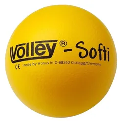 Volley, Volleybälle