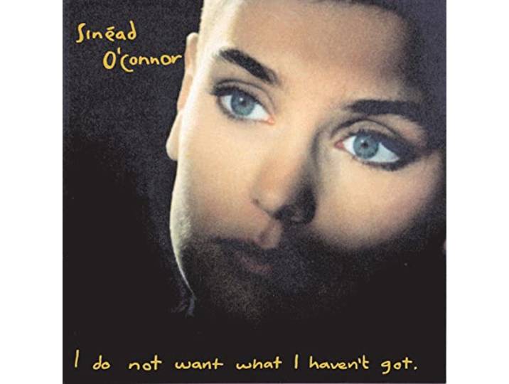 I Do Not Want What I Haven'T Got