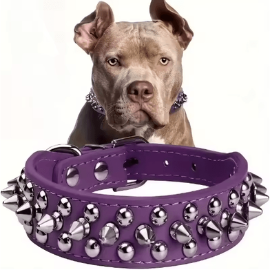 Inspire Picks RebelPaws Punk Spike Dog Collar For Small Dogs & Cats vt s