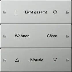 Gira 2133602 Wippenset 3f beschr. System 55 Edelstahl