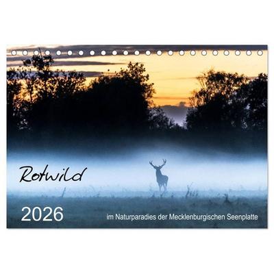 Rotwild - im Naturparadies der Mecklenburgischen Seenplatte (Tischkalender 2026 DIN A5 quer), CALVENDO Monatskalender