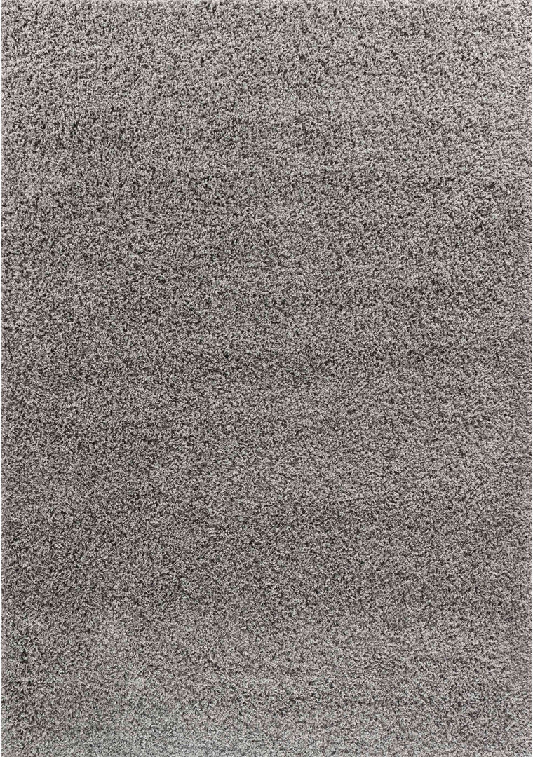 Hashtag Home Esterly Shaggy Area Rug Gray Rectangle 200 x 290cm
