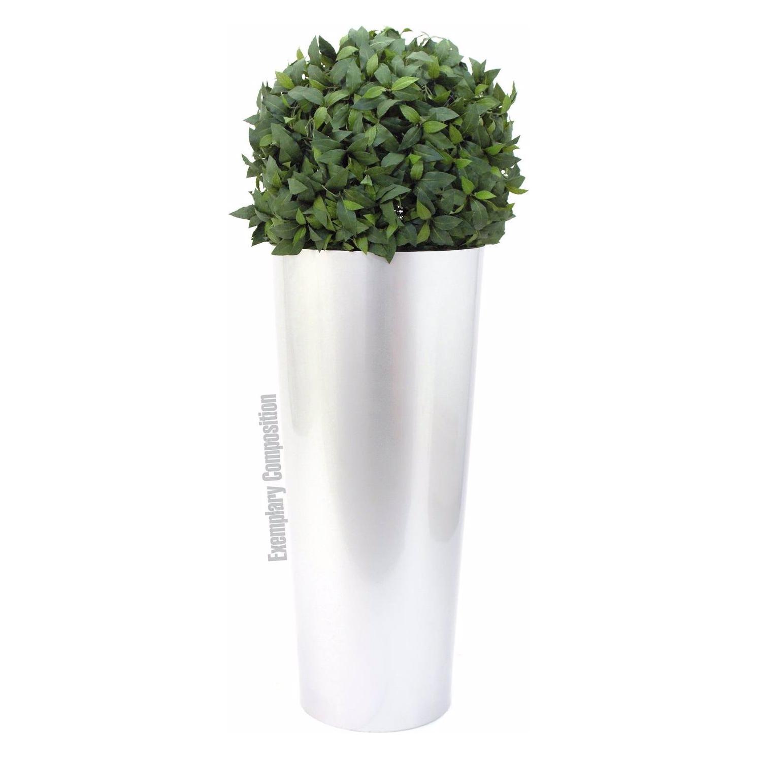Europalms LEICHTSIN ELEGANCE-69, weiss, glänzend (83011857)