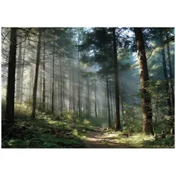 VLIESTAPETE Wald 3D Effekt Natur Schlafzimmer 200x140