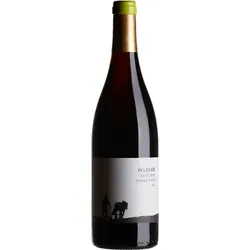 Fronhof Pinot Noir Weingut Pflüger 2022 BIO