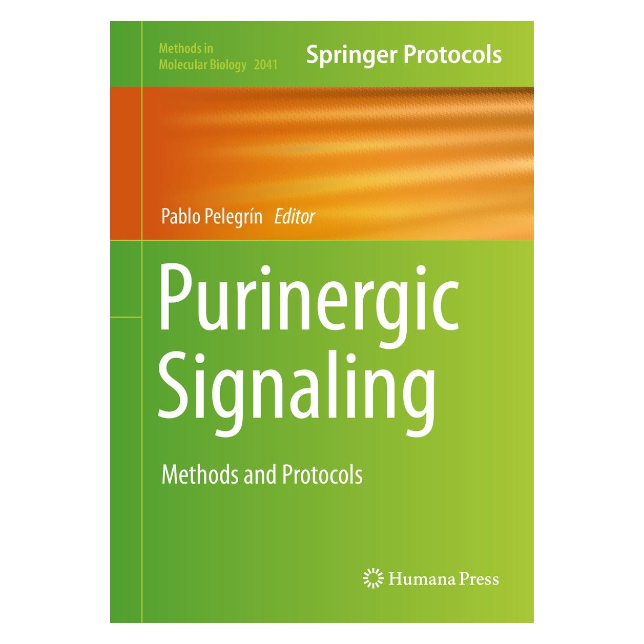 Springer Purinergic Signaling (Englisch, Hardcover, Pablo Pelegrín) (9781493997169)