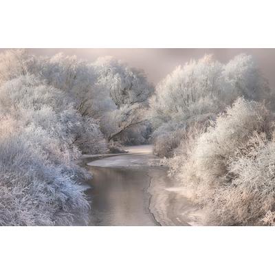 Fototapete PAPERMOON "Photo-Art SEBESTYEN BELA, WINTERLIED", bunt, B:4,5m L:2,8m, Vlies, Tapeten