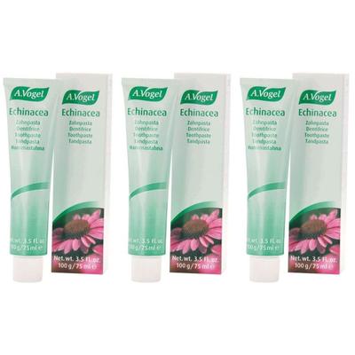 Echinacea Zahnp A Vogel x3 3x100 g Zahnpasta