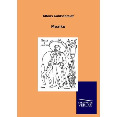 Mexiko, Taschenbuch von Alfons Goldschmidt, Salzwasser, 978-3-8460-0522-4