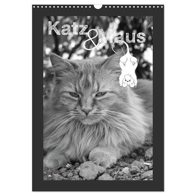Katz & Maus (Wandkalender 2027 DIN A3 hoch), CALVENDO Monatskalender