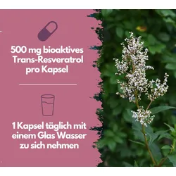 EXVital® Resveratrol Kapseln, hochdosiert, 120 Kapseln