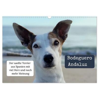 Ratonero Bodeguero Andaluz (Wandkalender 2027 DIN A3 quer), CALVENDO Monatskalender