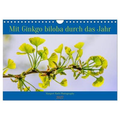 Mit Ginkgo biloba durch das Jahr (Wandkalender 2027 DIN A4 quer), CALVENDO Monatskalender