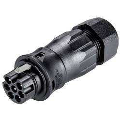 Wieland Electric 96.072.4553.1 Steckverbinder