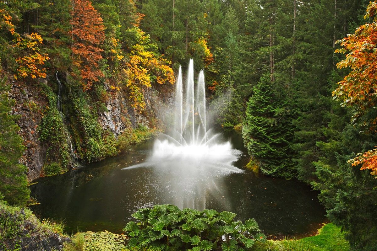 Papermoon "Wasserfall im Wald" bunt B/L: 1,5m x 1,11m, Bahnen: 7 Stk.