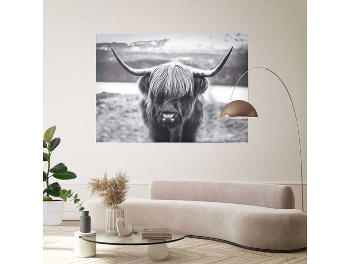 Poster Giant XXL Vache hauts plateaux Matériau : Papier Motif : Animal Noir/Noir 100 x 140 x 0cm
