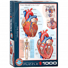 eurographics Puzzle - Das Herz - 1000 Teile 300752