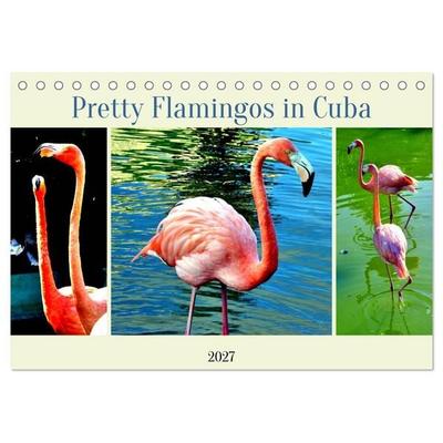 Pretty Flamingos in Cuba (Tischkalender 2027 DIN A5 quer), CALVENDO Monatskalender