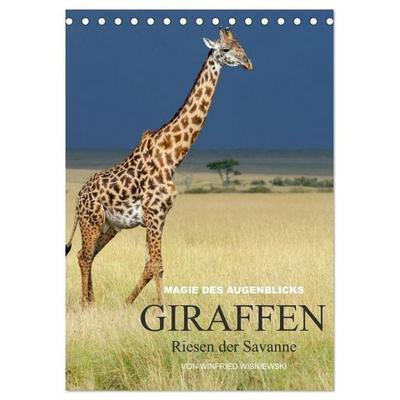Magie des Augenblicks - Giraffen - Riesen der Savanne (Tischkalender 2027 DIN A5 hoch), CALVENDO Monatskalender