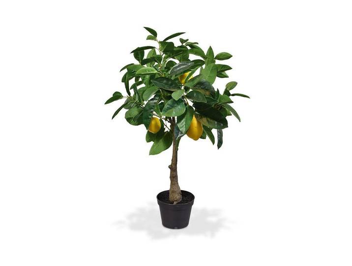 Kunstblume BOTANIC-HAUS Zitronenbaum 70 cm , grün, H:70cm Ø:35cm, Kunststoff, Kunstpflanzen, Kunstblume