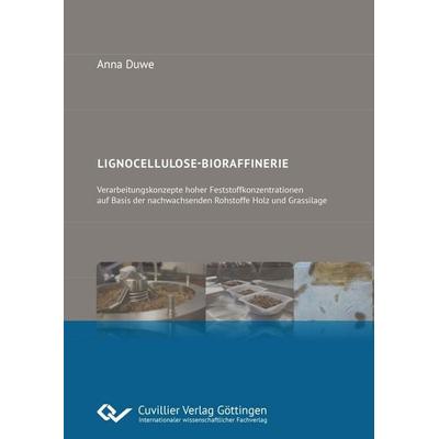 Lignocellulose-Bioraffinerie. Verarbeitungskonzepte hoher Feststoffkonzentrationen auf Basis der nachwachsenden Rohstoffe Holz und Grassilage,