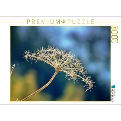CALVENDO Puzzle Ausgeblüht 2000 Teile Puzzle quer | 2000 Teile Lege-Größe 90 × 67 cm Foto-Puzzle für glückliche Stunden, von , Calvendo Puzzle