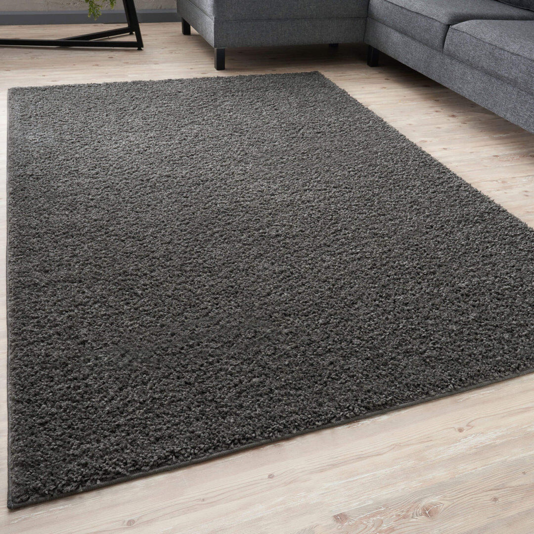 THE RUGS Myshaggy Collection Rugs Solid Design in Dark Grey Dark Grey Rectangle 140 x 200 cm