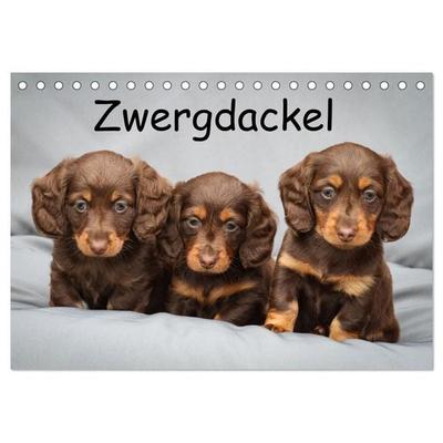 Zwergdackel von Kadi (Tischkalender 2027 DIN A5 quer), CALVENDO Monatskalender