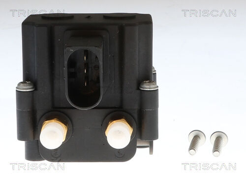Triscan Kompressor, Druckluftanlage 872511202 Für Bmw