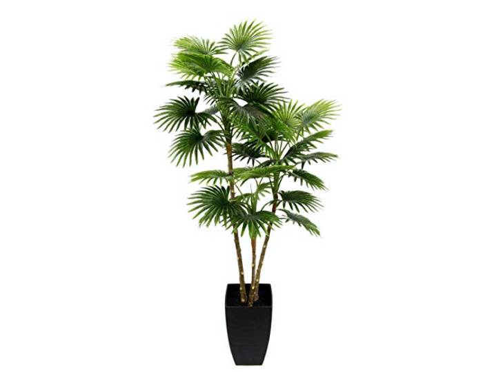 Palme künstlich Fächerpalme im Topf Pflanzen Kunstpalme Kunstpflanze Dekopalme Schirmpalme Kunstbaum Palmenbaum Baum Dekobaum Grünpflanze Deko Pflanze Dekoration Geschenk Bäumchen Tropische Exotische