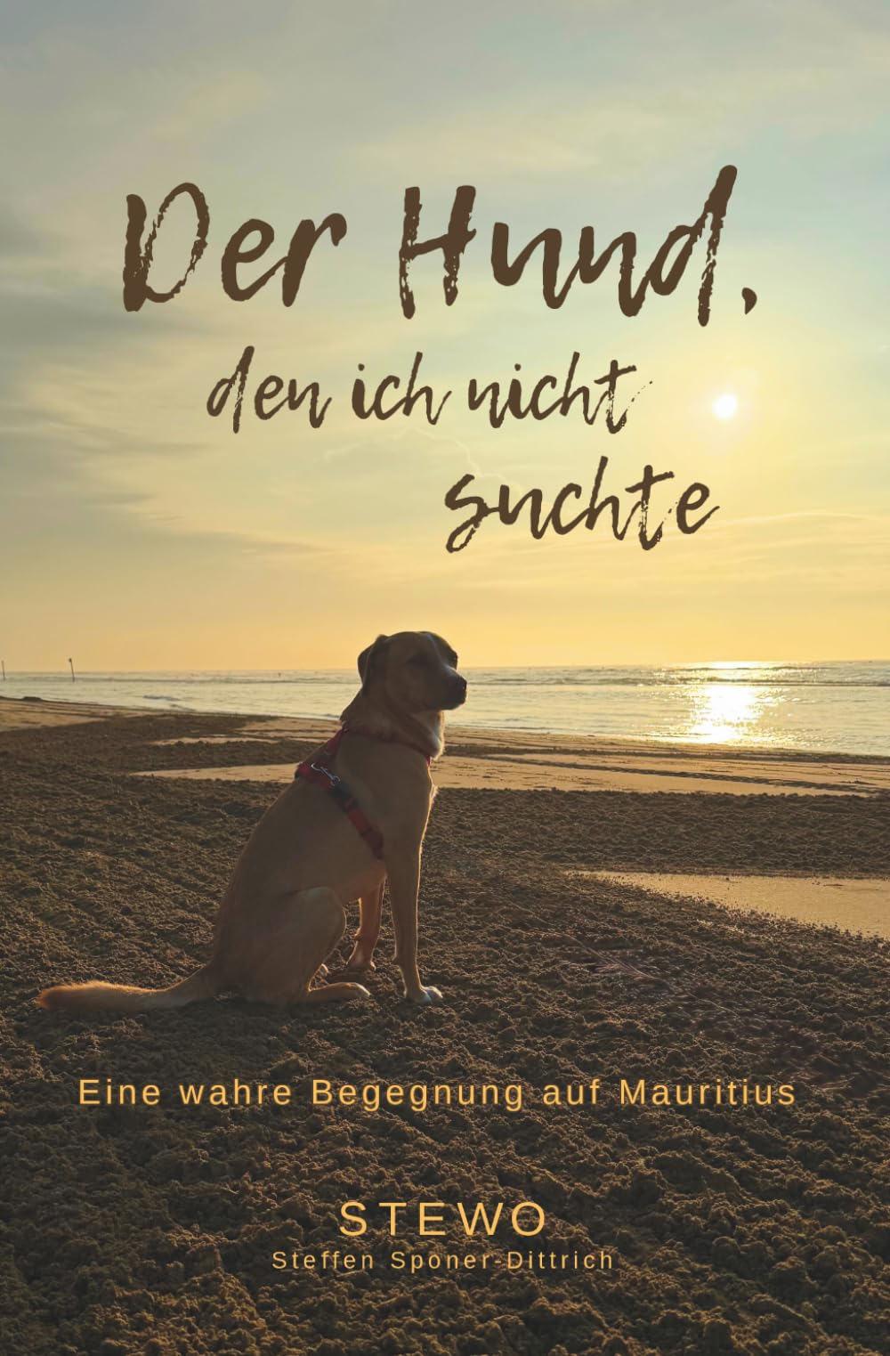 Steffen Sponer/Dittrich - Der Hund, den ich nicht suchte: Eine wahre Begegnung auf Mauritius - Preis vom 15.10.2026 23:06:25 h