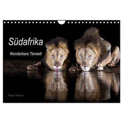 Südafrika wunderbare Tierwelt (Wandkalender 2027 DIN A4 quer), CALVENDO Monatskalender