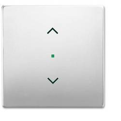 Busch-Jaeger 1fach Abdeckung free@home Edelstahl 2CKA006220A0415 1 St.