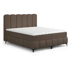 BOXBETT Isabel