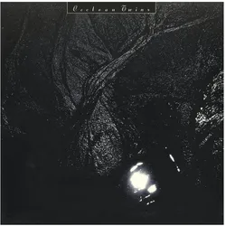 Vinyl Records, Schallplatten, The Pink Opaque (Cocteau Twins)