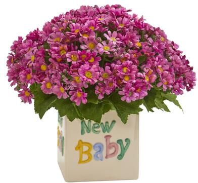 Nearly Natural "13"" Daisy Artificial Arrangement in ""New Baby"" Vase"