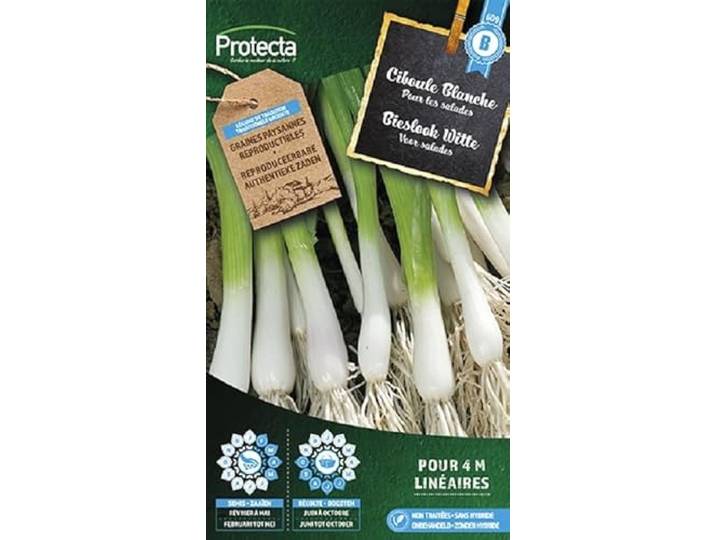 Protecta Groente zaden: Bieslook Witte