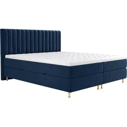 BOXBETT Elegance - H3
