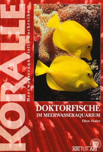 Ellen Thaler - Doktorfische im Meerwasseraquarium - Preis vom 09.10.2026 07:28:09 h