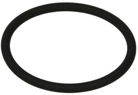 Euroricambi 95534396 Shaft Seal, manual transmission flange