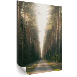 POSTER - 21x29 cm - Nevara - Waldweg