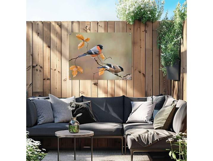 home24 Outdoor-poster Goudvink PVC oranje/oranje 60 x 80 x 0cm
