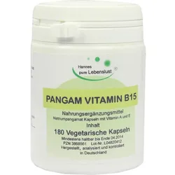 Pangam Vitamin B15 Vegi Kapseln 180 ST