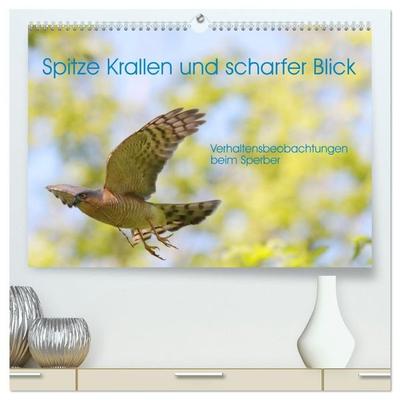 Spitze Krallen und scharfer Blick - Verhalten Sperber (hochwertiger Premium Wandkalender 2027 DIN A2 quer), Kunstdruck in Hochglanz