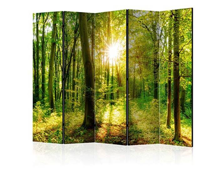 decomonkey Paravent Raumteiler Innen Wald, 225x172 cm, 5-teilig, Beidseitig Natur, Baum, Wohnzimmer, Room Divider, Wall, Raumteiler Stehend, Trennwand, Sichtschutz, Spanische Wand, Sichtschutzwand