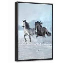 LEINWAND Bilder mit Rahmen - Pferde - Winter - Tiere - Natur - Schnee - 20x30