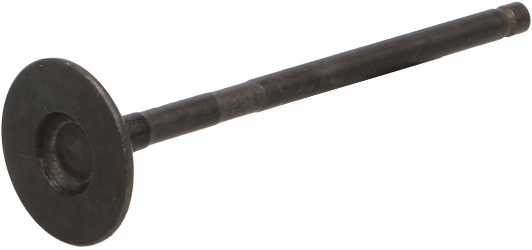 Auslassventil AE V98033