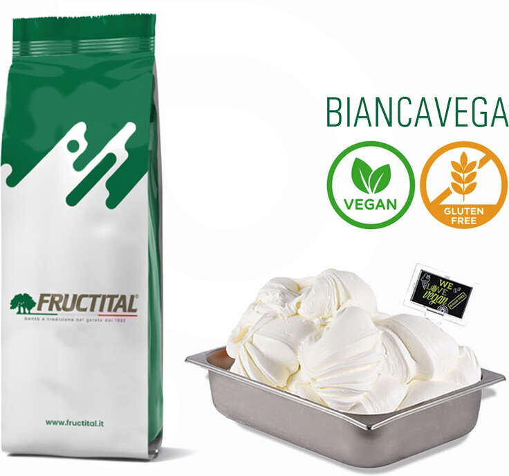 Fructital Base per gelato BiancaVega (1,5 Kg)