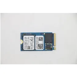 Lenovo SSD M.2 PCIe NVMe (256 GB, M.2, M.2 2242), SSD